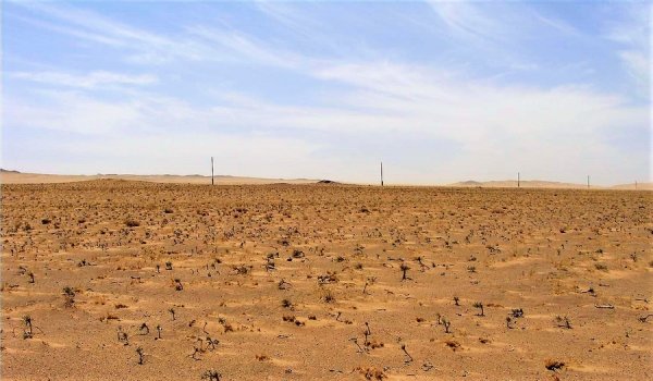 НИЙТ НУТГИЙН 40 ХУВЬ НЬ ГАНТАЙ БАЙНА ГЭВ