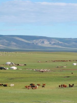 Ж.Мягмарсүрэн: Малчин гишүүдтэй жишиг хоршоодыг байгуулахаар төлөвлөж байна
