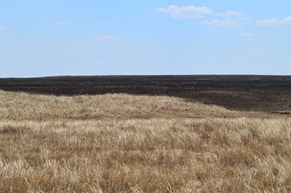 Дорнод аймагт алга болсон хоёр настай хүүгийн цогцосыг дэрсэн дундаас олжээ