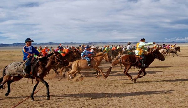 Хурдан морины хүүхдийн хөдөлмөрийг үнэлье