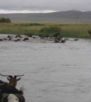 Ховд, Үүр голын ус үерийн аюултай түвшинг давжээ