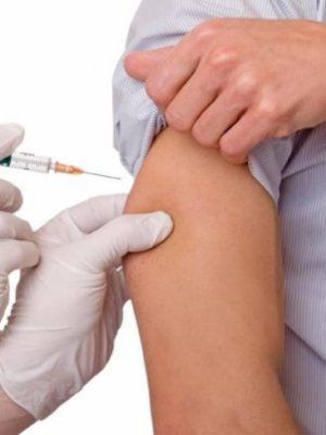 Тарваган тахлын эсрэг дархлаажуулалт 65.5 хувьтай байна