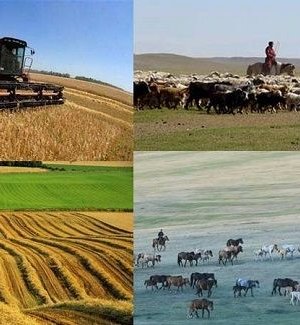 Аймаг, нийслэлийн Засаг дарга нар, Хүнс, хөдөө аж ахуйн газруудад анхааруулга, зөвлөмж хүргүүлж байна