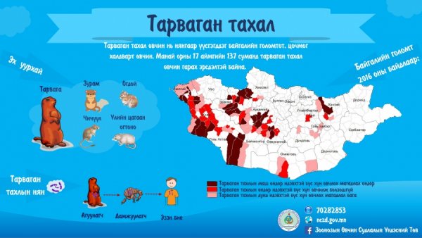 ТАРВАГАН ТАХЛЫН СЭЖИГТЭЙ ТОХИОЛДОЛ БҮРТГЭГДЖЭЭ