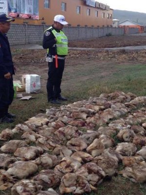 Тарваган тахлын байгалийн голомттой 130 гаруй сум байдаг