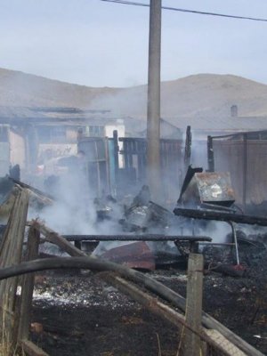 Бага насны хоёр хүүхэд гэртэйгээ шатжээ