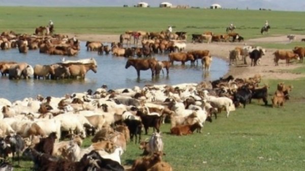 Отор нүүдэл хийх малчдын анхааралд