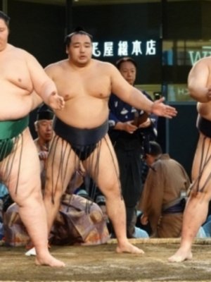 Их аваргууд даваагаа ахиуллаа