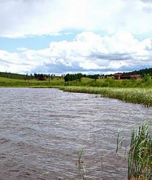 Хотын дарга усан сан бүхий тусгай хамгаалалтын бүсийн нүхэн жорлонгуудыг цэгцэлж эхэллээ