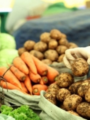 Тариаланчид шинэ ургацын дээжээ хэрэглэгчдэд хүргэнэ