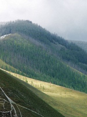 Богдхан ууланд төөрч, бээрсэн иргэдийг олжээ