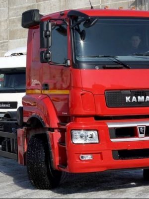 Мэргэшсэн жолоочийн үнэмлэх гаргана гэсэн залиланд хууртахгүй байхыг санууллаа