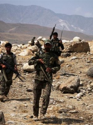 Террорист “Лалын улс” бүлгийн олон босогч амь үрэгджээ