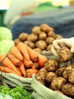 Хүнсний ногооны үнэ 300-500 төгрөгөөр хямдарчээ