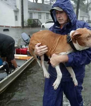 “Флоренс” 50 тэрбум ам.долларын хохирол учруулав