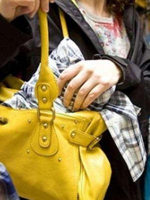 Бүлэглэн хулгай хийдэг эмэгтэйчүүдийг баривчиллаа