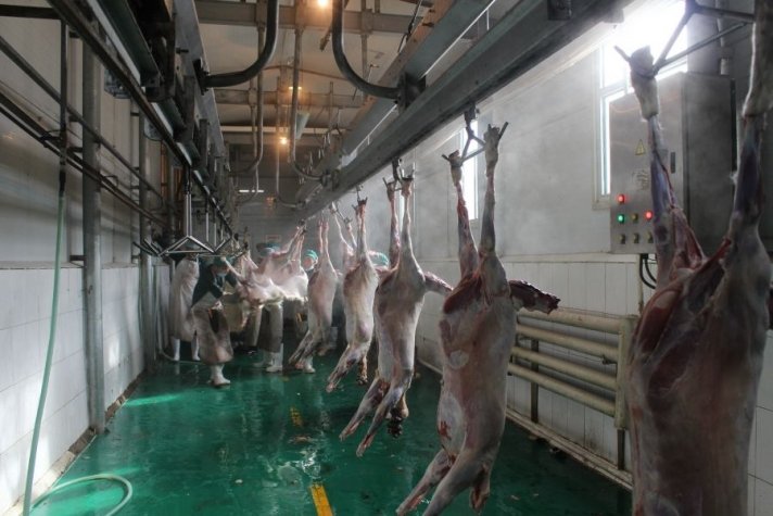 Баян-Өлгий аймаг Иран Улсад малын дайвар бүтээгдэхүүн экспортолно