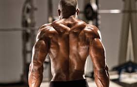 Биеэс хорт бодисыг гадагшлуулахын тулд идэвхижүүлсэн нүүрсийг хэрхэн хэрэглэх вэ?