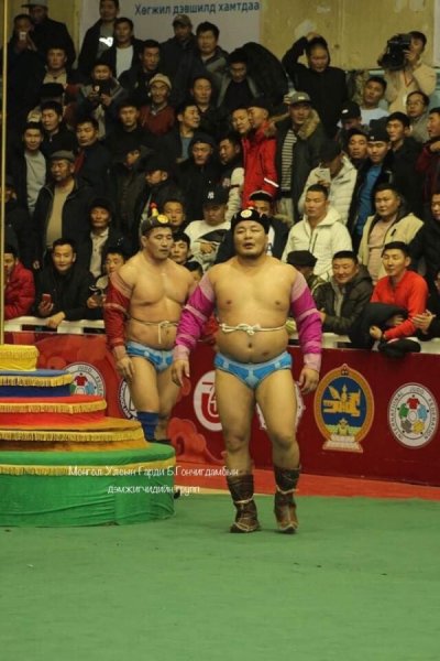 Улс тунхагласны ойн барилдаанд Улсын гарьд Б.Гончигдамба түрүүллээ