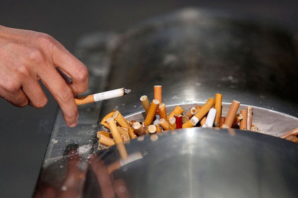 Монголын эрэгтэйчүүдийн 49.1 хувь нь тамхи татдаг