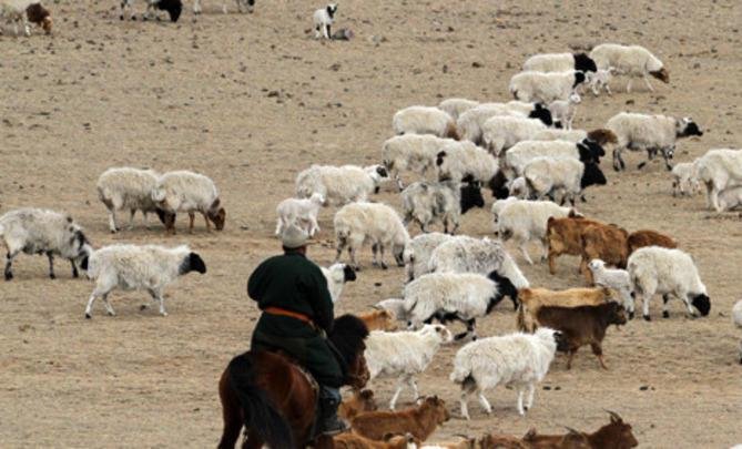 Улсын хэмжээнд эрэн сурвалжлагдаж байсан гэмт этгээдүүдийг баривчилжээ