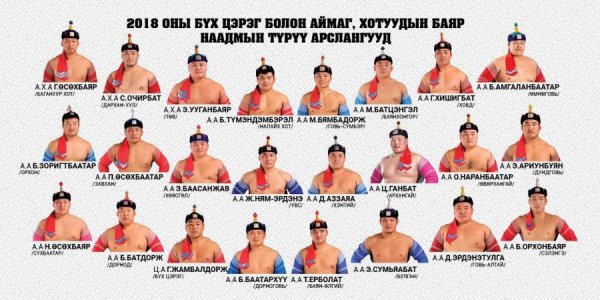 Шинэ арслангуудын тойргын барилдаантай