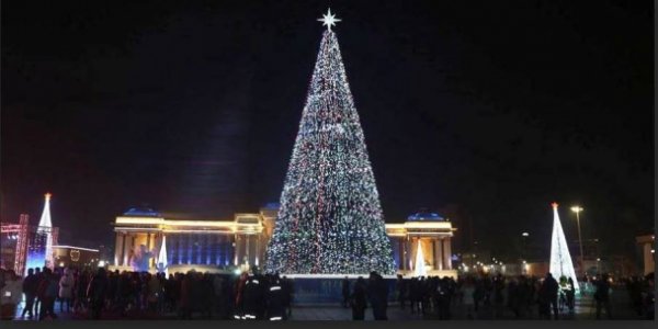 Төв талбайн сүлд модыг өнөөдөр асаана