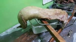 Зөвшөөрөлгүй газар ууц, өвчүү чанавал гурван сая төгрөгөөр торгоно