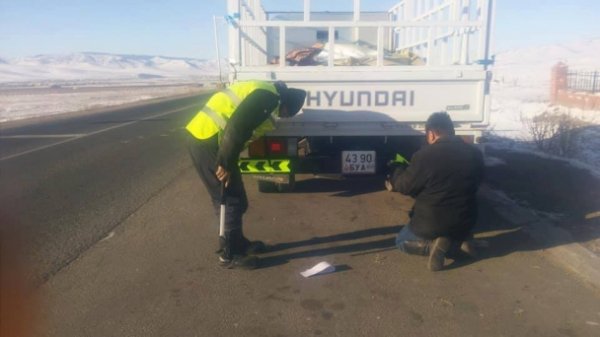 ТЦА:Гарал үүслийн бичиггүй мал, мах тээвэрлэвэл хариуцлага тооцно