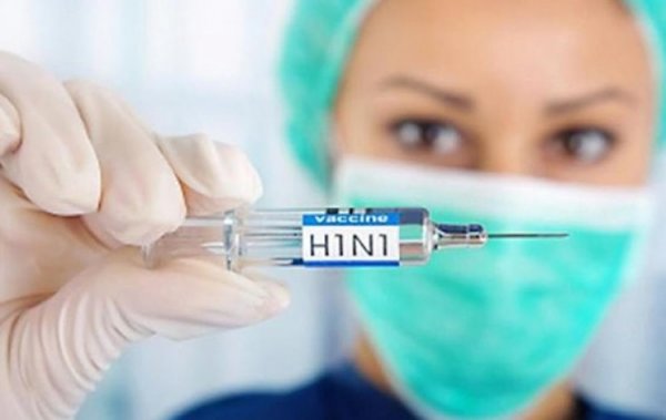 Энэтхэг улсад гахайн ханиадны улмаас 40 гаруй хүн амиа алджээ