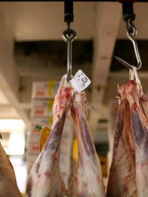 Гарал үүслийн бичиггүй мал, мах тээвэрлэвэл хариуцлага тооцно