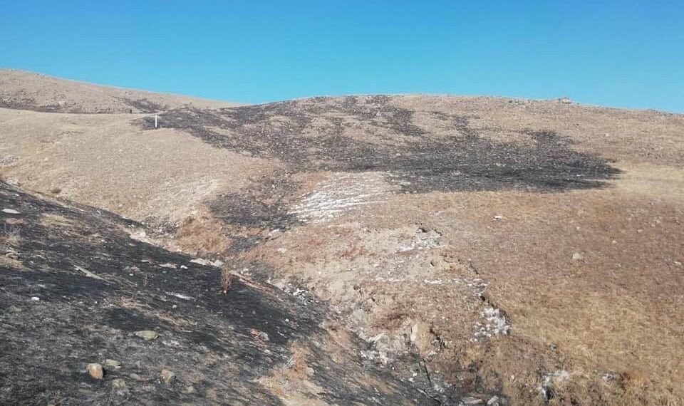 Шадивланд гарсан түймрийг газар авахуулалгүй унтраажээ