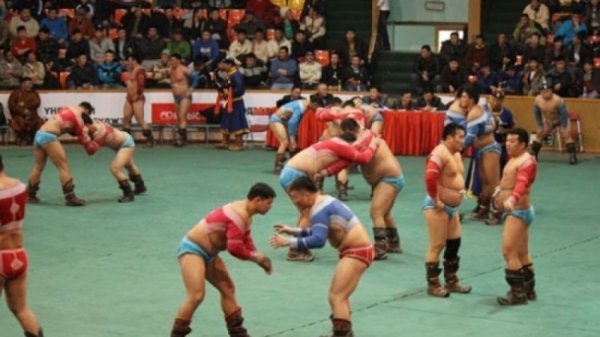 Сар шинийн баярт зориулсан барилдаан 12:00 цагаас эхэлнэ