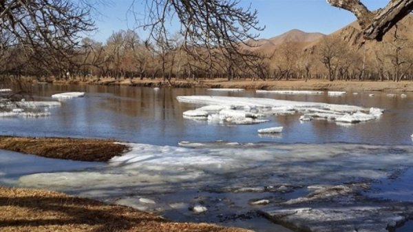 Зургаан настай хүү Ховд голд осолджээ