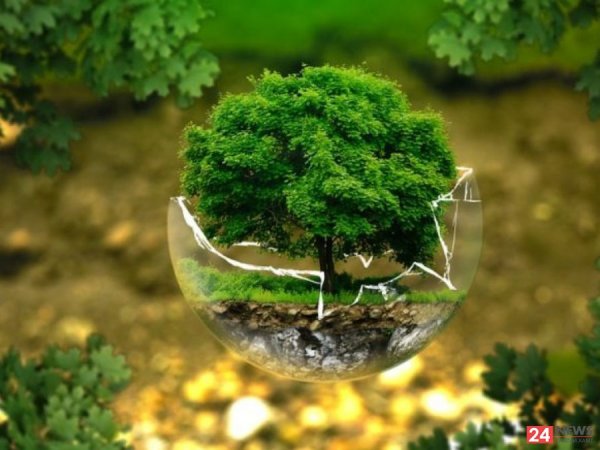 Австрали 1 тэрбум мод тарина