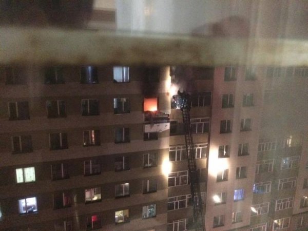 Төрсөн эгчийгээ хөнөөгөөд, галдан шатаасан хэргийн урьдчилсан шүүх хурал товлогдлоо