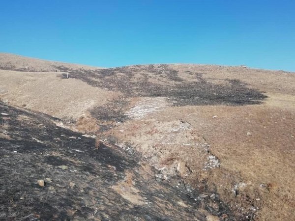 СЭРЭМЖЛҮҮЛЭГ: Халуун үнс, нурам ил хаяснаас Шадивланд шар өвсний түймэр гарчээ