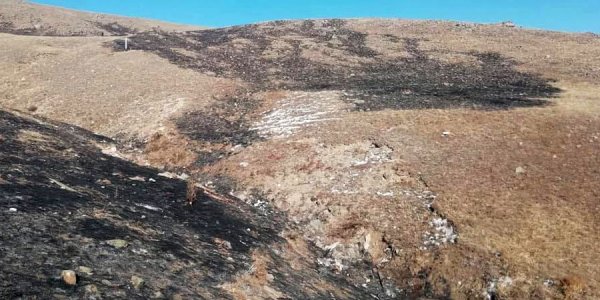 Иргэдийн анхаарал болгоомжгүйгээс шар өвсний түймэр гарлаа