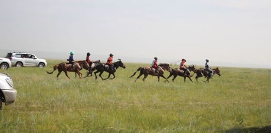 Мориноос унаж нас барсан хүүгийн ээж СЭМҮТ-д хэвтэн эмчлүүлж байна