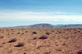 Говь-Алтай аймгийн зургаан суманд хаваржилт хүнд байна