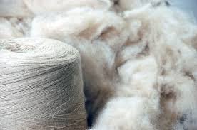 Ноолуурын үнэ 60-100 мянгад хэлбэлзэж байна