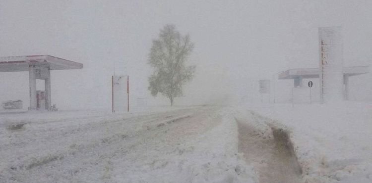 Цас орж, цасан шуурга шуурна