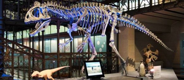 Бүх музей энэ сарын 8-ныг хүртэл үнэ төлбөргүй үйлчилнэ