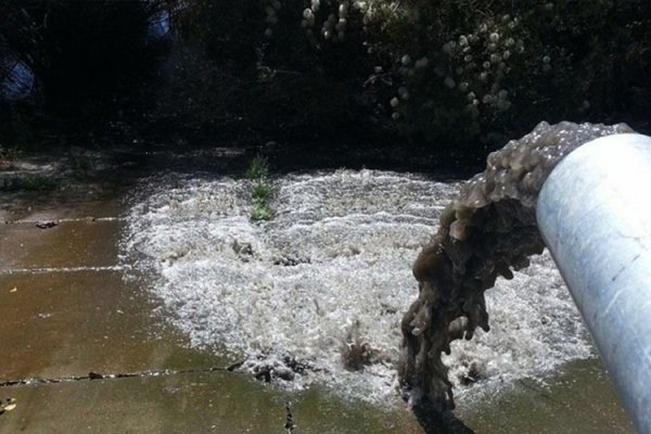 Туул гол руу бохироо цутгасан “Асем вилла” хотхоныг таван сая төгрөгөөр торгожээ