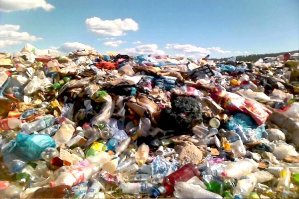 1950 оноос хойш 800,000 гаруй Эффелийн цамхагтай тэнцэх пластик материал үйлдвэрлэжээ