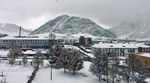 Архангай аймагт хөнгөлөлттэй үнээр тэжээл олгоно