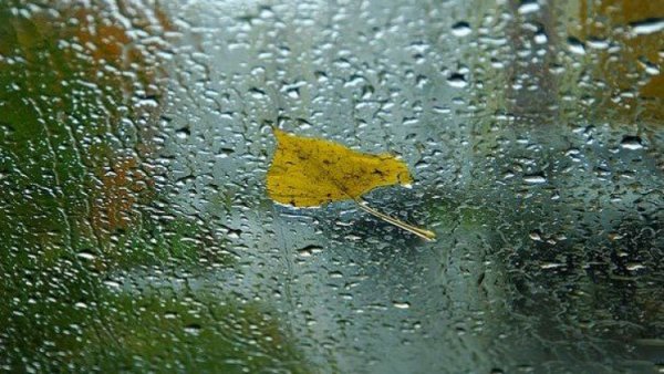 Бямба гаригт Улаанбаатарт бороо орно