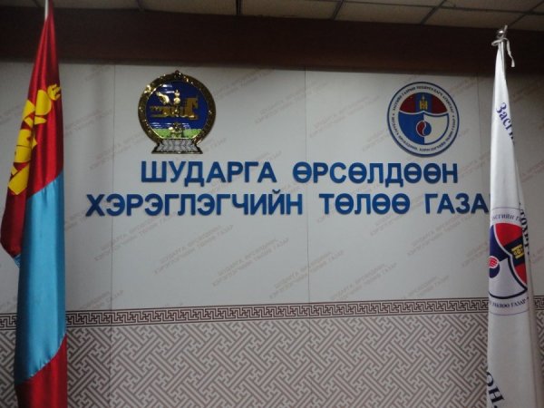 Д.Мөнхсолонго: Шатахуун импортлогч компаниуд шатахууны үнийг дур мэдэж нэмсэн
