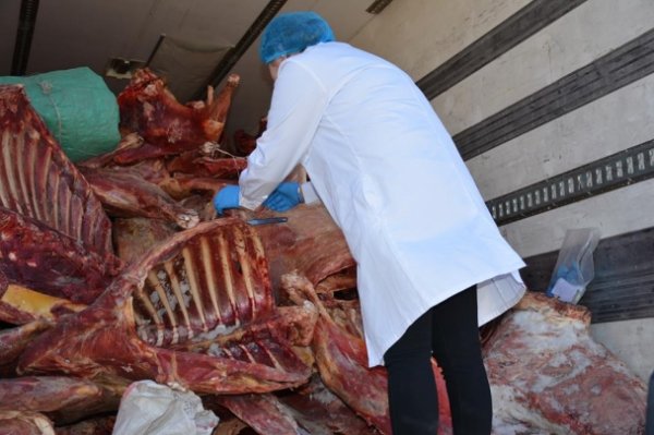 Үхсэн малын МАХ зарж байсан нь тогтоогдлоо