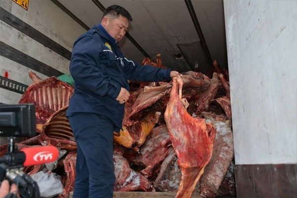 ТЕГ: Үхсэн болон өвчтэй малын 20 тонн мах буулгаж байсныг зогсоожээ